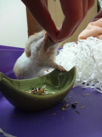 圖像 2013-05-30 2 圖像 2013-05-30 2