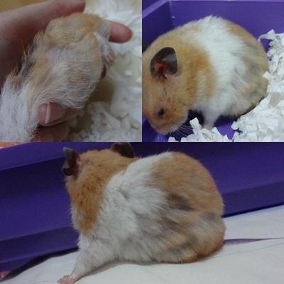 圖像 2013-05-30 1 圖像 2013-05-30 1