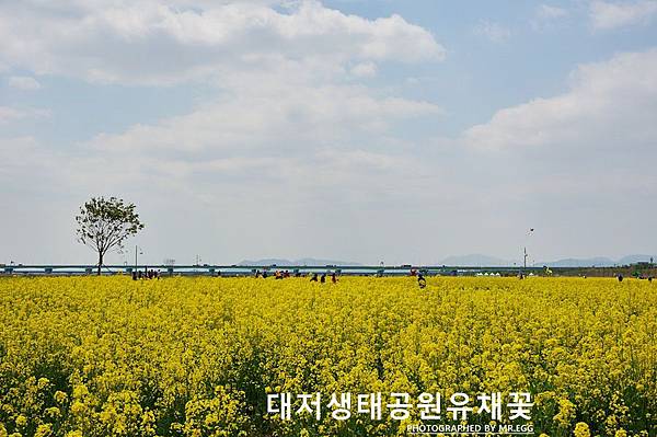 渠盪儅鷓奢錳嶸瓣粒0