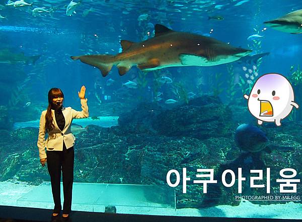 \276\306\304\355\276\306\270\256\277\3620.jpg \276\306\304\355\276\306\270\256\277\3620.jpg