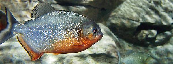 \276\306\304\355\276\306\270\256\277\3624.JPG \276\306\304\355\276\306\270\256\277\3624.JPG