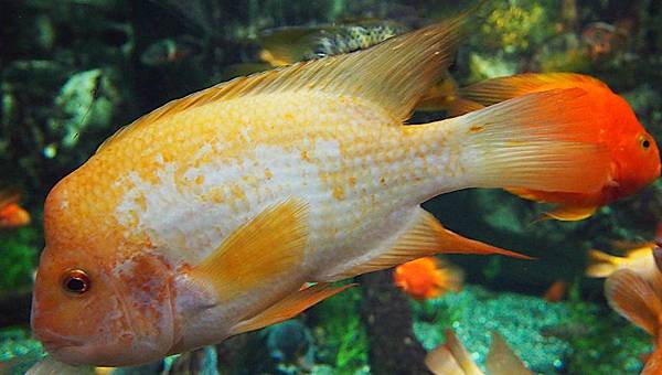 \276\306\304\355\276\306\270\256\277\3625.JPG \276\306\304\355\276\306\270\256\277\3625.JPG