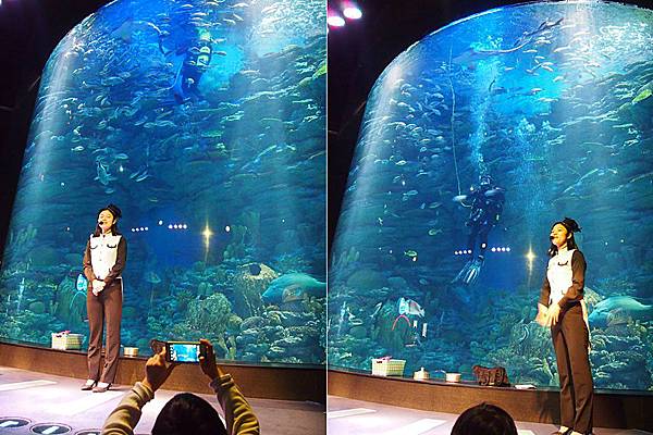 \276\306\304\355\276\306\270\256\277\3628-1.jpg \276\306\304\355\276\306\270\256\277\3628-1.jpg