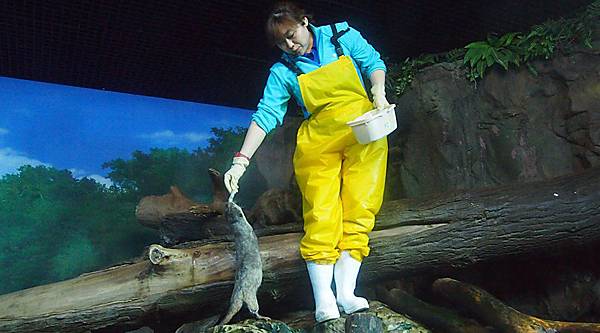 \276\306\304\355\276\306\270\256\277\3626.JPG \276\306\304\355\276\306\270\256\277\3626.JPG