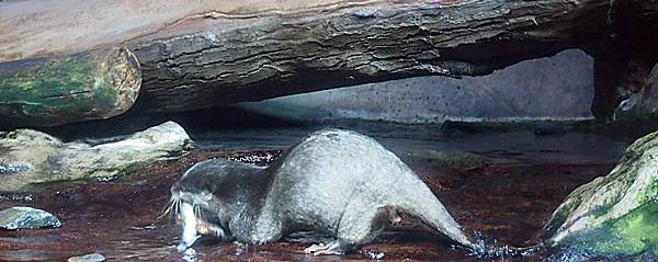 \276\306\304\355\276\306\270\256\277\3628.JPG \276\306\304\355\276\306\270\256\277\3628.JPG