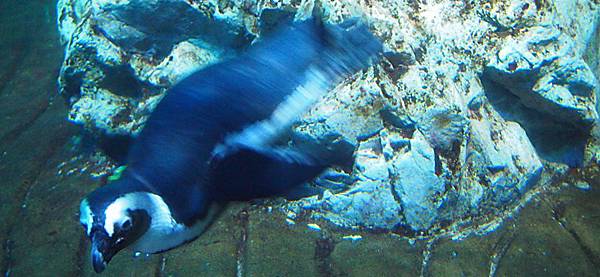 \276\306\304\355\276\306\270\256\277\3629.JPG \276\306\304\355\276\306\270\256\277\3629.JPG