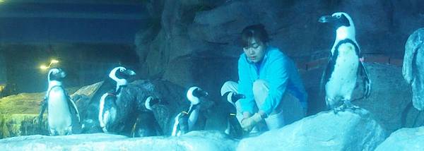 \276\306\304\355\276\306\270\256\277\3628-3.JPG \276\306\304\355\276\306\270\256\277\3628-3.JPG