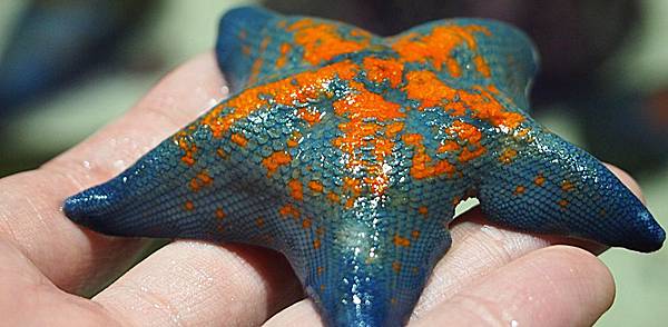 \276\306\304\355\276\306\270\256\277\36212.JPG \276\306\304\355\276\306\270\256\277\36212.JPG