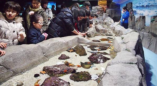 \276\306\304\355\276\306\270\256\277\36211.JPG \276\306\304\355\276\306\270\256\277\36211.JPG