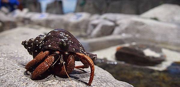 \276\306\304\355\276\306\270\256\277\36213.JPG \276\306\304\355\276\306\270\256\277\36213.JPG