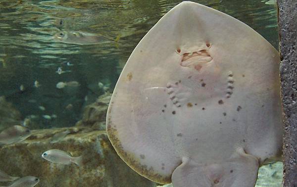 \276\306\304\355\276\306\270\256\277\36214.JPG \276\306\304\355\276\306\270\256\277\36214.JPG