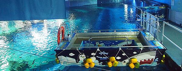 \276\306\304\355\276\306\270\256\277\36215.JPG \276\306\304\355\276\306\270\256\277\36215.JPG