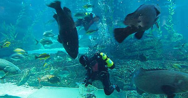 \276\306\304\355\276\306\270\256\277\36221.JPG \276\306\304\355\276\306\270\256\277\36221.JPG