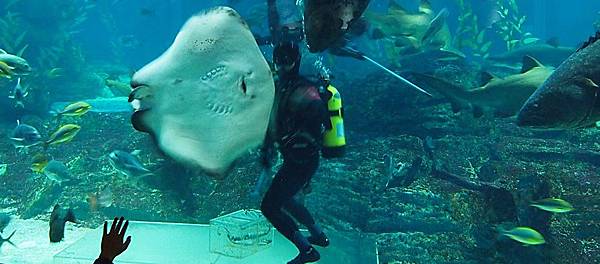 \276\306\304\355\276\306\270\256\277\36222.JPG \276\306\304\355\276\306\270\256\277\36222.JPG