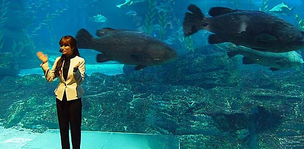 \276\306\304\355\276\306\270\256\277\36220.JPG \276\306\304\355\276\306\270\256\277\36220.JPG