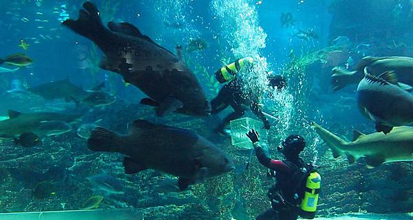 \276\306\304\355\276\306\270\256\277\36223.JPG \276\306\304\355\276\306\270\256\277\36223.JPG