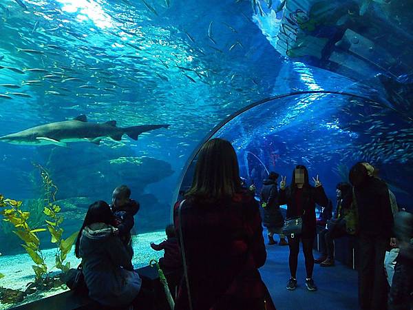 \276\306\304\355\276\306\270\256\277\36226.JPG \276\306\304\355\276\306\270\256\277\36226.JPG