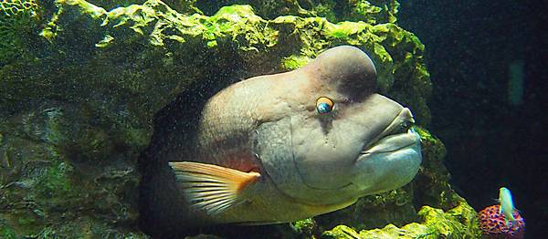 \276\306\304\355\276\306\270\256\277\36228.JPG \276\306\304\355\276\306\270\256\277\36228.JPG