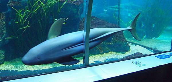 \276\306\304\355\276\306\270\256\277\36227.JPG \276\306\304\355\276\306\270\256\277\36227.JPG