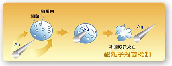 防蟑圖片2 防蟑圖片2
