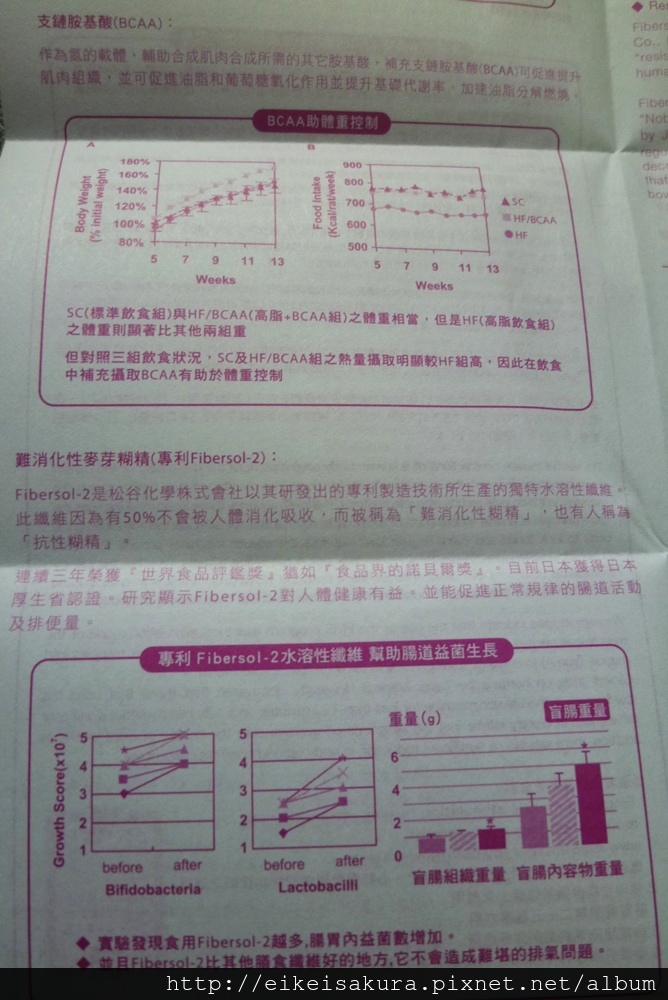 試用