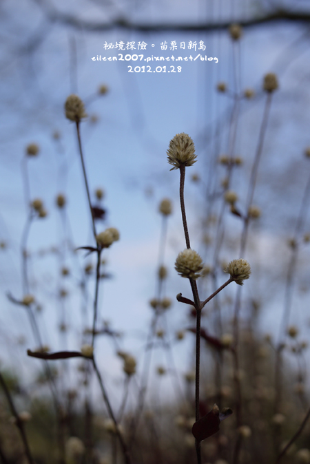 20120128_09.jpg 20120128_09.jpg