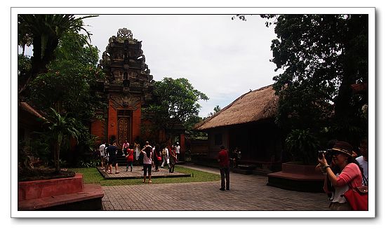 P1101125 P1101125