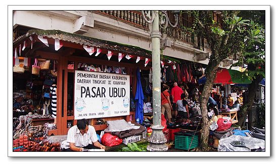 P1101126 P1101126