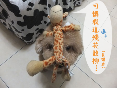 未命名-1 未命名-1