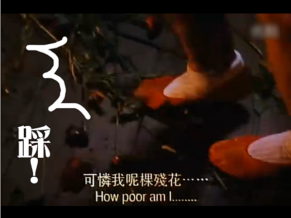 殘花敗柳 殘花敗柳