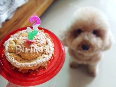 3歲囉!生日快樂!