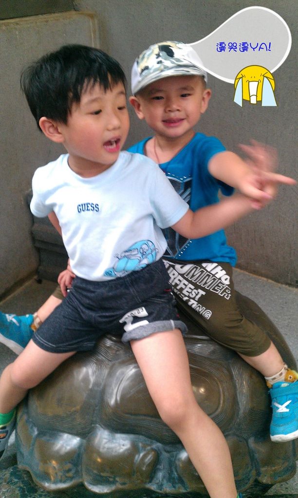 IMAG1301 IMAG1301