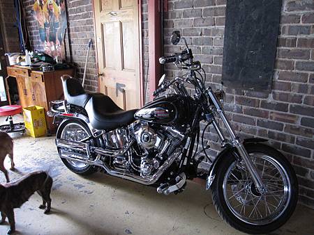 IMG_8018.JPG IMG_8018.JPG