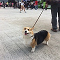 IMG_1676 IMG_1676