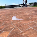 IMG_1679 IMG_1679