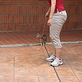 201008溜貓-17