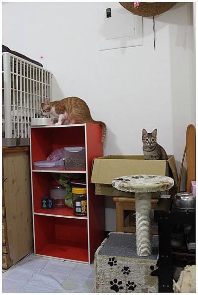 寶寶妹妹吃飯、排隊XD