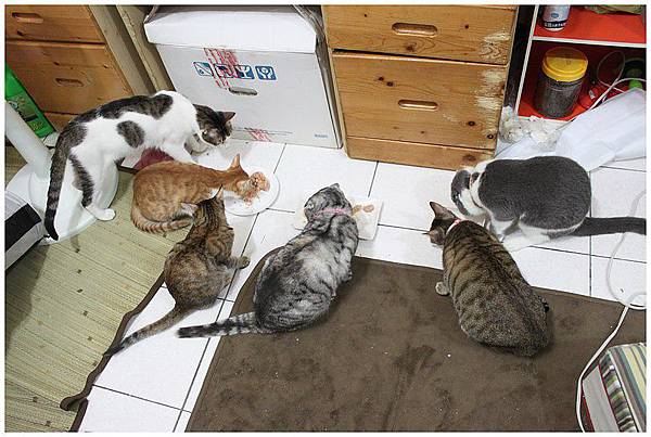 2012.01.01跨年聚餐！