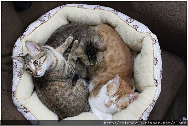 2012-01-07_00002 2012-01-07_00002