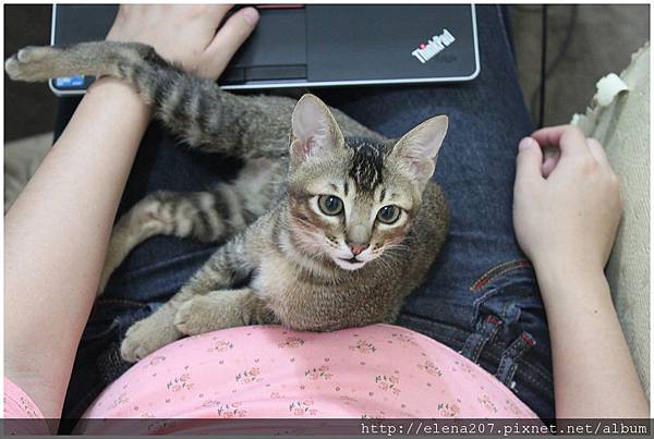 2012-01-15_00006 2012-01-15_00006