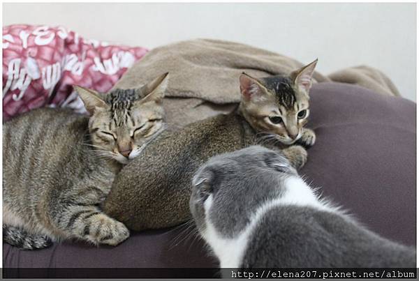 2012-01-17_00009 2012-01-17_00009