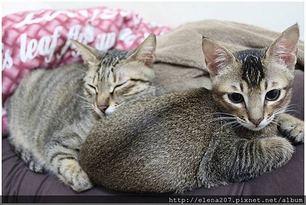 2012-01-17_00012 2012-01-17_00012