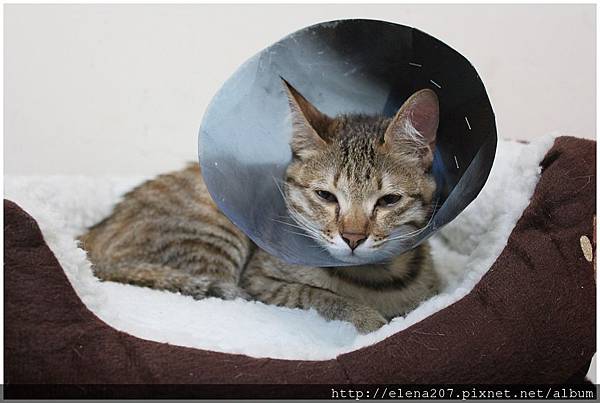 2012-01-17_00014 2012-01-17_00014