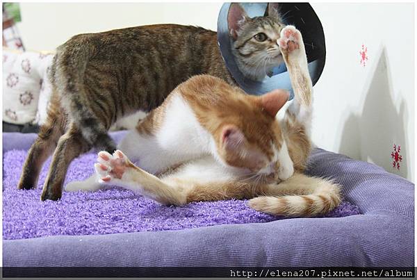 2012-01-18_00020 2012-01-18_00020