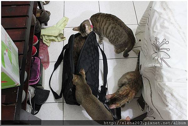 2012-01-20_00024 2012-01-20_00024