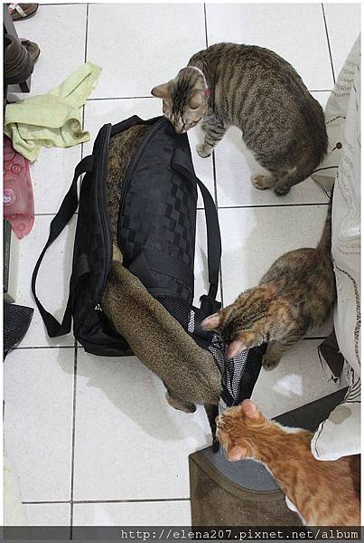 2012-01-20_00025 2012-01-20_00025