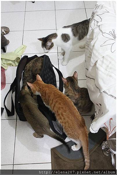 2012-01-20_00026 2012-01-20_00026