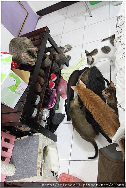 2012-01-20_00027 2012-01-20_00027