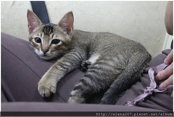 2012-01-20_00029 2012-01-20_00029