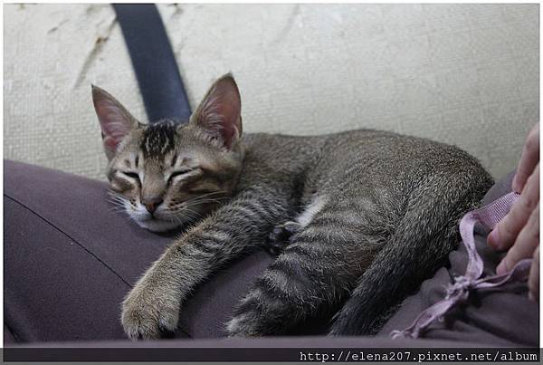 2012-01-20_00030 2012-01-20_00030